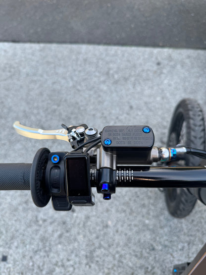 Titanium brake reservoir cap bolts